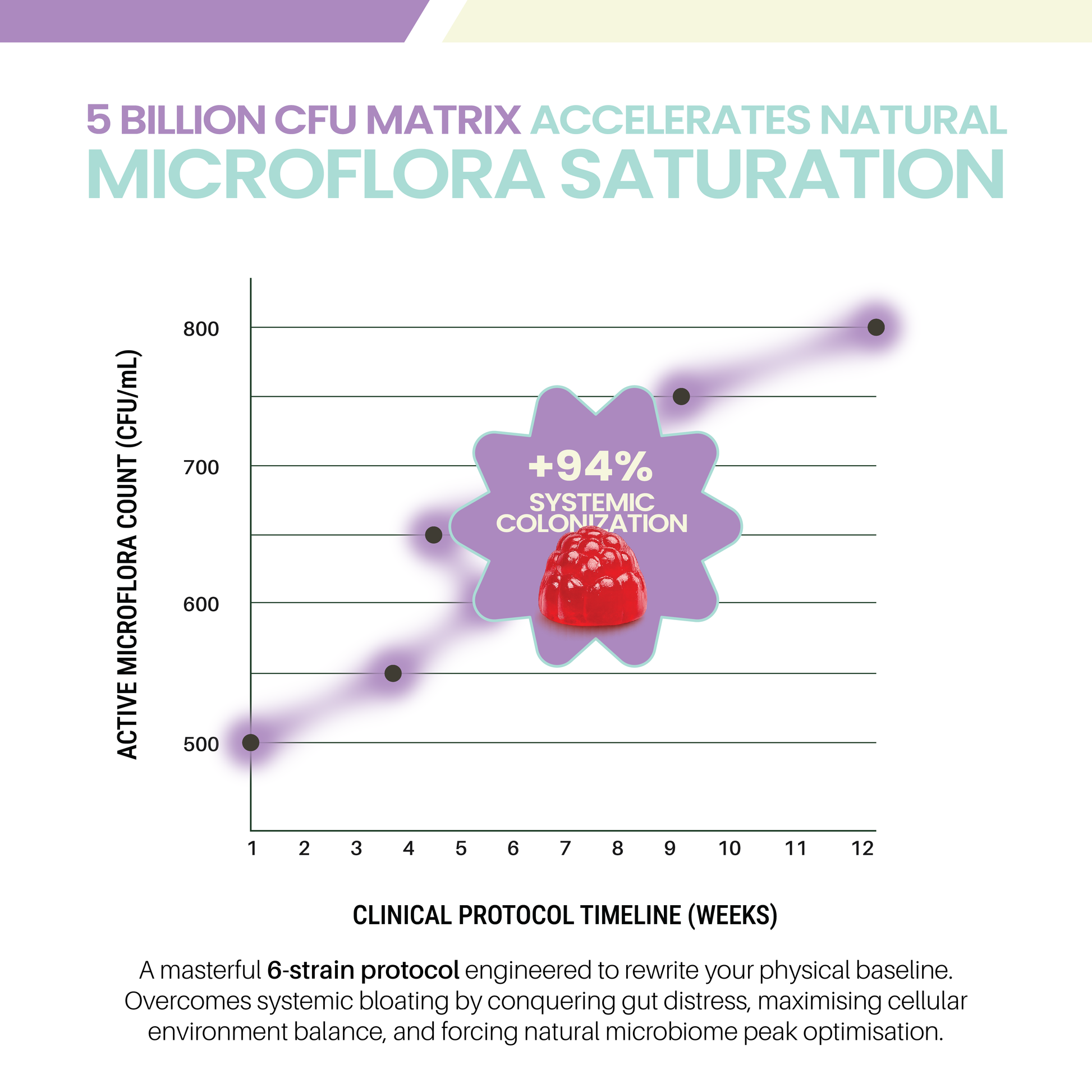 A clinical timeline chart for Vitavora Probiotic Gummies titled 5 Billion CFU Matrix Accelerates Natural Microflora Saturation, tracking active microflora count over twelve weeks with an overlay showing +94% systemic colonization and a red gummy detail.